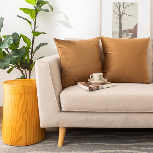 NiNi ALL Brown Velvet Throw Pillow Covers 28x28 Inches Pack of 2 - Decorative Couch Accent