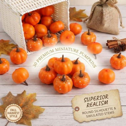 Mini Pumpkins Set for Fall Decor - Light & Deep Orange, 30 Pcs