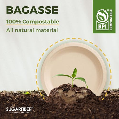9 Inch Compostable Christmas Paper Plates Holiday Party Disposable Dinnerware - Harvest Pack