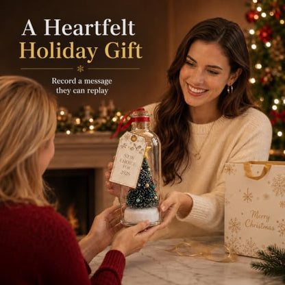 2 Pack Recordable Christmas Tree in a Bottle Ornaments - Personalized Holiday Decor