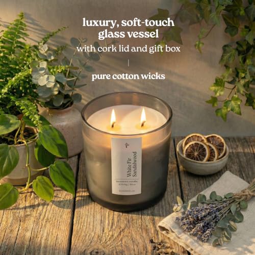 Non Toxic Beeswax Candle 16oz - White Fir Sandalwood, Hand-Poured in Colorado