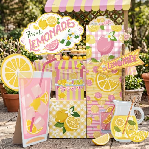 Pink Lemonade Party Decorations Set with Photo Props and Standee