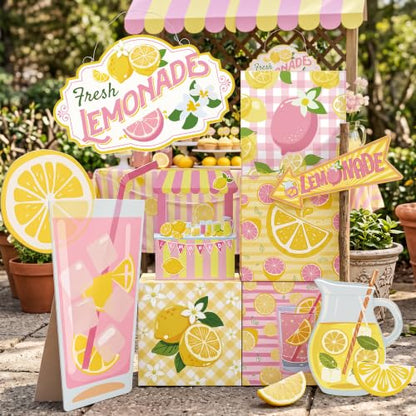 Pink Lemonade Party Decorations Set with Photo Props and Standee