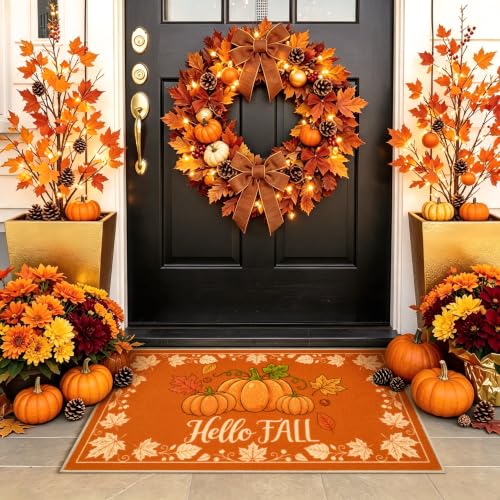 Hello Pumpkin Fall Door Mat 17x29 Inches Welcome Rug for Porch & Entryway - Variations Available