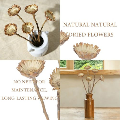 5Pcs Natural Dried Flowers for Vase Decor Rustic Fall Arrangement Sunflowers