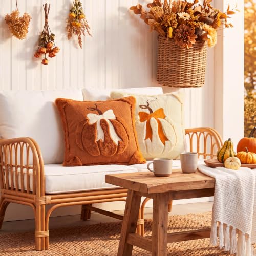 Beige & Dark Rust Fall Pumpkin Throw Pillow Covers 18x18 Set of 2