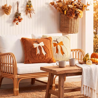 Beige & Dark Rust Fall Pumpkin Throw Pillow Covers 18x18 Set of 2
