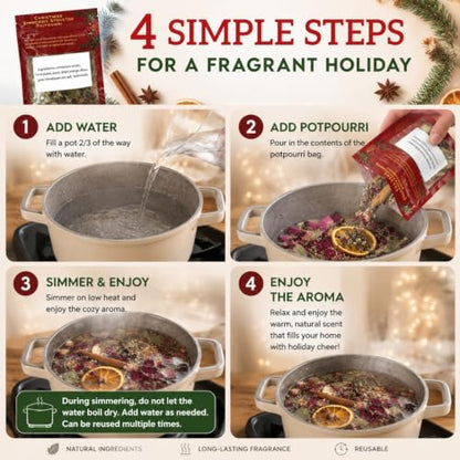 Simmer Pot Mix Set of 6 Holiday Scents - Seasonal Potpourri for Christmas & Winter