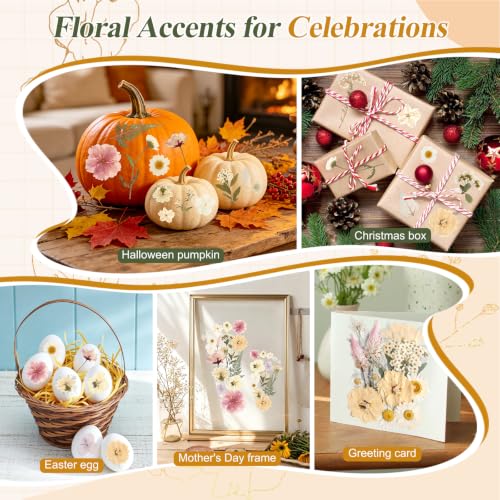 Boho Pressed Flowers Dried Florals for Scrapbooking Crafts & Home Décor - 120 PCS