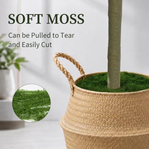 5ft Artificial Olive Tree Indoor with Planter and Decorative Moss