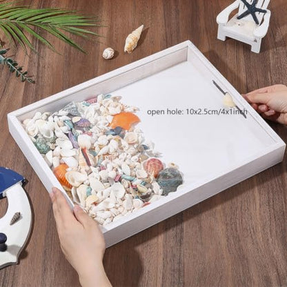 Seashell Display Shadow Box with Wooden Frame - Top Loading 13.8x10.9 Inch