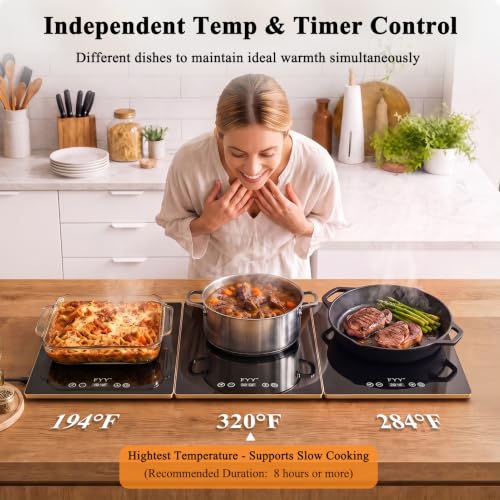 FYY Electric Warming Tray 3-Panel Food Warmer Black & Gold 32.76" x 15.6"