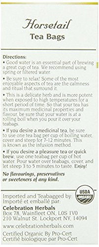 Celebration Herbals Organic Horsetail Tea Bags 24 Count