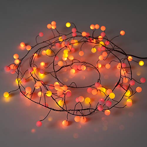 QBIS Premium LED Cluster Lights. Christmas Garland Fairy Lights. Red, Orange and Yellow. These Berry Cluster Lights are Perfect as Halloween Lights (120 LED Plug in)