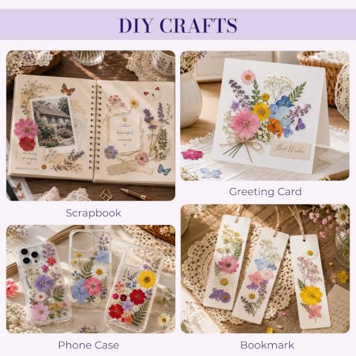 Multi-Color 800 PCS Dried Pressed Flowers for Resin Crafts and DIY Projects