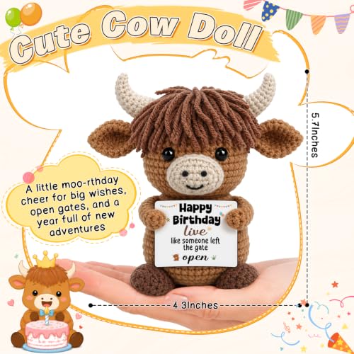 Highland Cow Birthday Decorations for Women Men - Cheeky Crocheted Gift with Card - Variation of Birthday