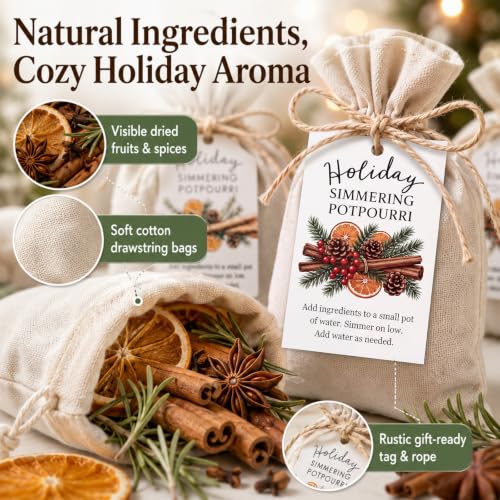 Christmas Simmering Potpourri Kit with Spices & Dried Fruits - Gift Set