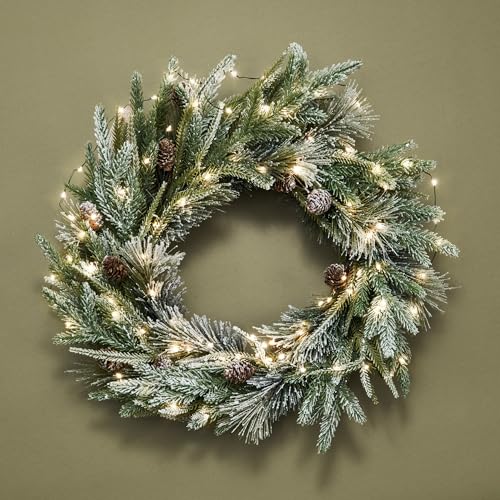 Christmas Wreath for Front Door with Lights - Cypress, 22 Inches