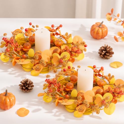 Thanksgiving Mini Eucalyptus Wreath Set - 2 Pcs Fall Decor with Plaid Ribbons