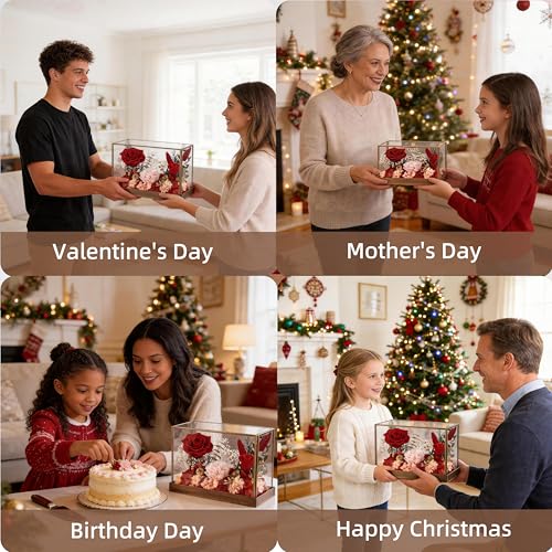 Forever Rose in Glass Dome Gift – Preserved Rose for Mom, Wife, Girlfriend