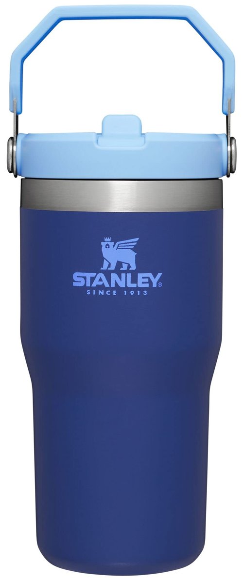 Stanley IceFlow Flip Straw Tumbler with Handle 20 oz | Twist On Lid and Flip Up Straw | Leak Resistant Water Bottle | Insulated Stainless Steel |BPA-Free | Lapis