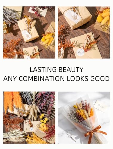 Fall Dried Flowers Set - 12 Natural Preserved Flowers for Decor - Variation: Fall