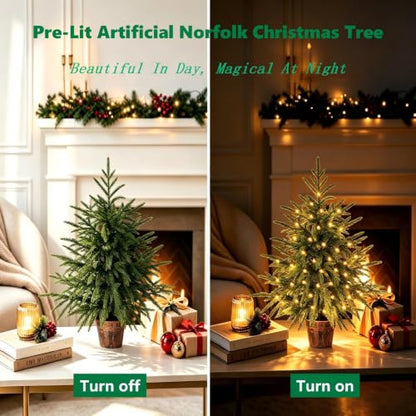 Green 2ft Prelit Artificial Norfolk Pine Christmas Tree - Indoor Decor