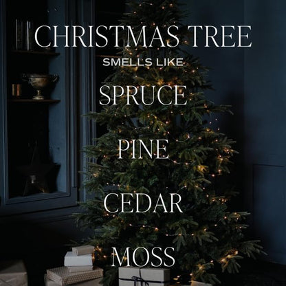 Christmas Tree Reed Diffuser Set - Spruce, Pine Needles, Cedar & Moss Scent, Tinted Glass - 3.5 oz, Made in USA