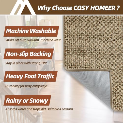 Indoor Door Mat Non-Slip Dirt Trapper 20x32 Inches Beige - Rectangular