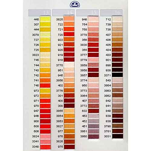 DMC Six Strand Cotton Embroidery Floss 700-799