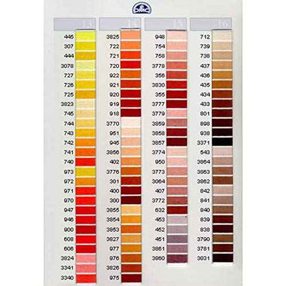 DMC Six Strand Cotton Embroidery Floss 700-799