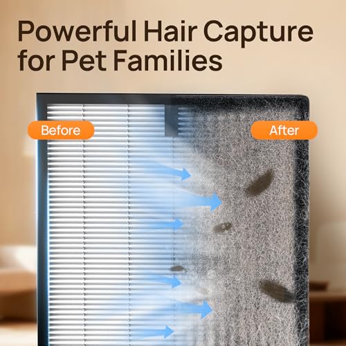 Evalit ET066 Air Purifier Replacement Cartridge for Large Spaces