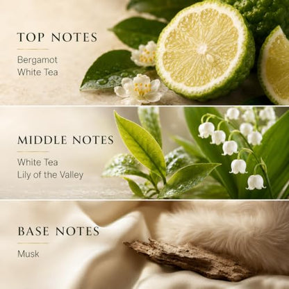 White Tea Luxury Diffuser Oil Refill 4.1 Fl Oz - Hotel-Inspired Fragrance