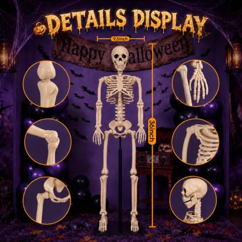 2 Pack 36-inch Halloween Skeleton Decorations with Movable Joints for Haunted Houses & Lawn Props - Human Bones