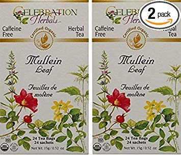 Celebration Herbals Organic Mullein Leaf Tea Caffeine Free - 2 Pack (48 Bags in Total)