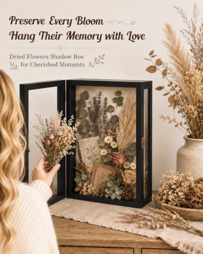 Deep Shadow Box 11x15 Wooden Display Case with Acrylic Sides Wall Mount