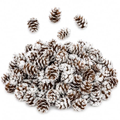 Artificial Pine Cones Frosted Winter Decor 100PCS 0.98in for Holiday & Crafts