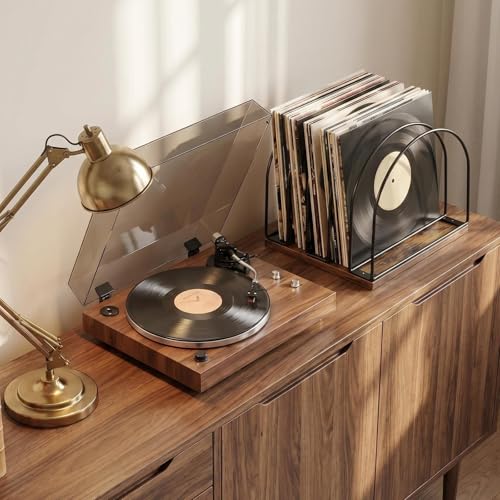 Wooden Vinyl Record Storage Holder - Brown, Stylish & Space-Saving