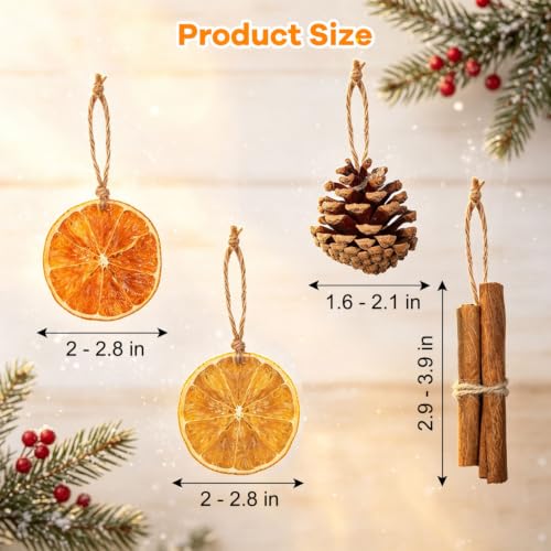Christmas Dried Orange Slices Pine Cones Cinnamon Stick Set - 50 Pack