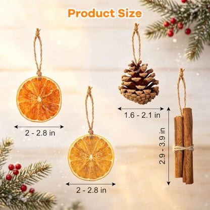 Christmas Dried Orange Slices Pine Cones Cinnamon Stick Set - 50 Pack