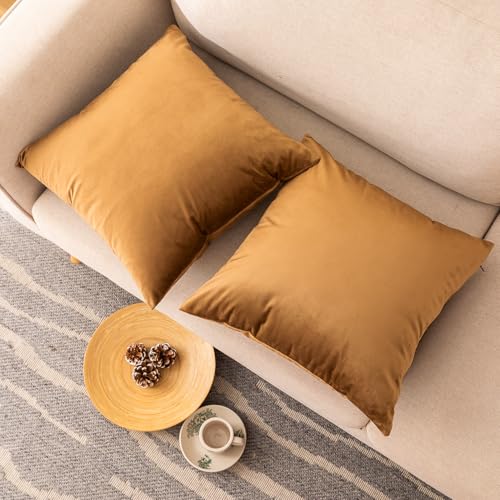 NiNi ALL Brown Velvet Throw Pillow Covers 28x28 Inches Pack of 2 - Decorative Couch Accent