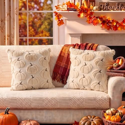 Fall Pumpkin Pillow Covers 18x18 Set of 2 Beige - Seasonal Decor