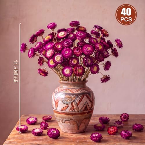 40 Pcs Natural Dried Daisy Flower Bouquet with 11.5 Inch Stem - Dark Red Variation