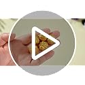 Mini Gold Resin Pumpkin Set - 50 Pieces Thanksgiving Craft Decor