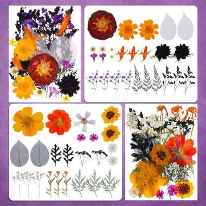 Halloween Dried Flowers for Crafts - Preserved Pressed Flowers Set, 100pcs