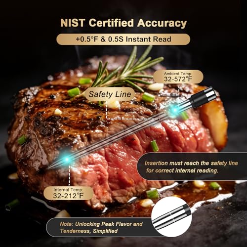 Wireless Meat Thermometer Digital with Bluetooth 800FT Range - Silver
