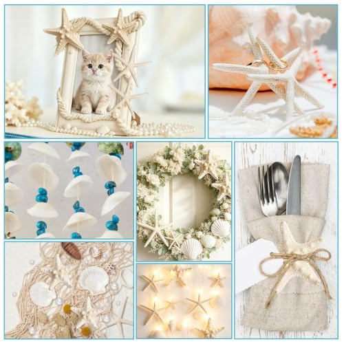 Seashells and Starfish Craft Supplies Set - 16 Pieces with Pearls and Clams