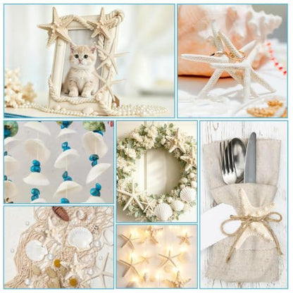 Seashells and Starfish Craft Supplies Set - 16 Pieces with Pearls and Clams