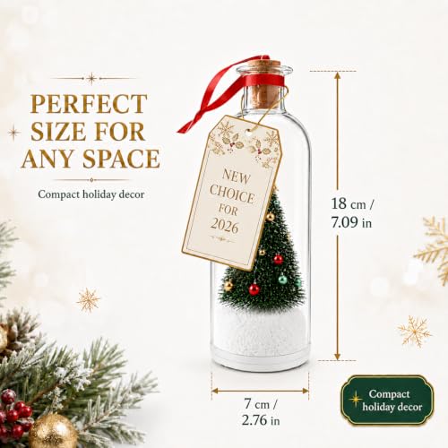 2 Pack Recordable Christmas Tree in a Bottle Ornaments - Personalized Holiday Decor