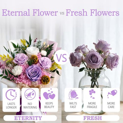 Preserved Flowers Bouquet - Gypsophila Purple for Gifts & Decor